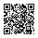 钢铁侠3BD国英双语双字.电影天堂.www.dy2018.com.mkv的二维码