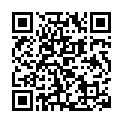 00514-00517 IT狂人 第1-4季[免费资源关注微信公众号 ：lydysc2017]的二维码