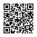 E-国产A片【本店唯一QQ：291379172】_40E-2元-国产视讯母子乱伦.avi的二维码